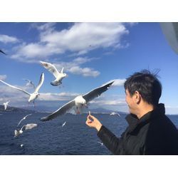 小田原と熱海の間にある隠れ観光地とは？の画像2