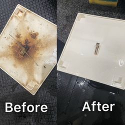 今年もあとわずか！の画像2