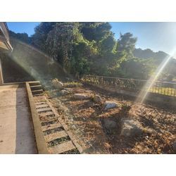 石を置いた庭の草、諦めてませんか？の画像1