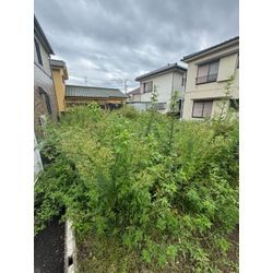 草刈り ·草むしりの画像1