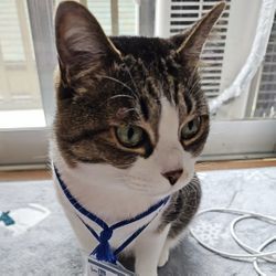 蜂が動き始めました。の画像1