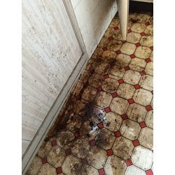 古民家の修復作業の画像1