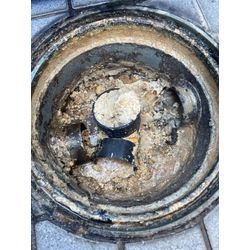 本当に勿体ないと思うわけですの画像1