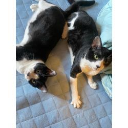 売り上げ激減…の画像1