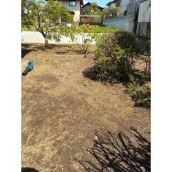 スッキリの画像3