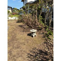 スッキリの画像2