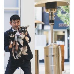 リングドッグのご依頼についての画像2