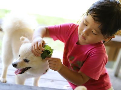 うちの子がいちばん！＾＾営業時間・対応地域外相談可◎