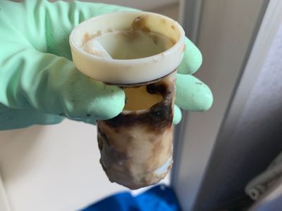すべての排水口、汚水マスをキレイに。現在通常¥22000を割引キャンペーン中