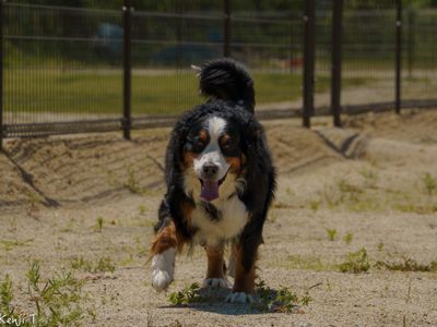 笑顔を引き出す3年以上の実績！思い出づくりのプロフェッショナル