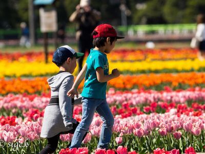 心に残る特別な写真写真を撮ることお客様に喜んでいただく笑顔が大好き◎ペット写真も