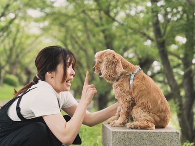 愛犬との時間はあっという間、思い出を残しませんか？ペット専門カメラマンが撮影