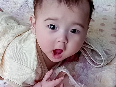 【カメラ歴40年】カメラの技術だけでなく、ベテランだから伝わる写真をお届けします