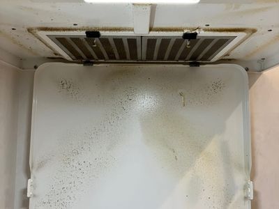 毎日料理を頑張っているあなた！掃除はゆうちゃんにお任せあれ！