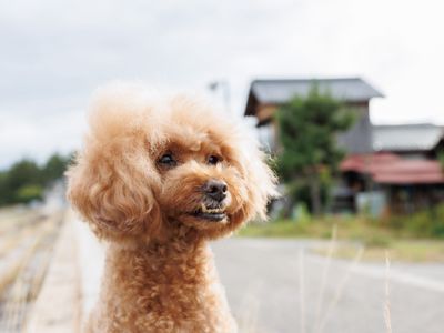 【撮影実績多数！】SNS映え出来る写真を撮影します！PayPay利用可！
