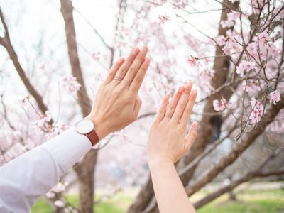 《年中無休》女性カメラマンが撮影☆撮影件数年間700件以上の実績あり