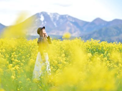 【業歴20年】あらゆる撮影ニーズに丁寧にお応え