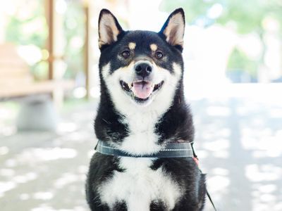 ◎年中無休◎お客様とのコミュニケーションを大切にしています！