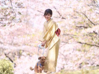 ～　愛らしい瞬間を大切に残す　～