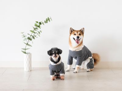 女性カメラマン対応します。
