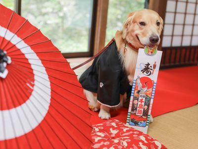 【カメラマン歴10年以上の実績 】こだわりのママカメラマン♪