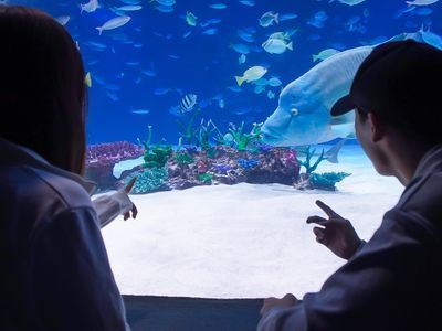 笑顔を引き出す、心に残る瞬間をカタチに！