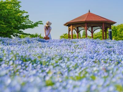 マッチングアプリ　結婚相談所用　写真　平日撮影がオススメ