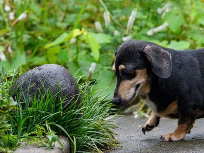 被写体の魅力を最大限に引き出します！年中無休の出張撮影サービス