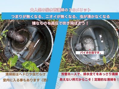 ◢◤全館排水管高圧洗浄 ◢◤管内カメラで排水管を見える化！流れ・悪臭原因改善！