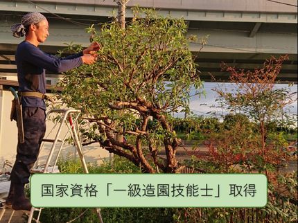 樹咲園ガーデンメンテナンス くらしのマーケット