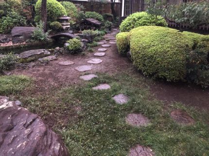低木から高垣まで 生垣等刈り込みいたします 青景穂月造園の植え込みの剪定 くらしのマーケット