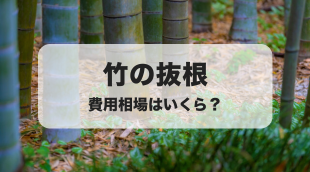 【竹】見積もりページ 見積書発行(ダウンロード手順) - かさまーと
