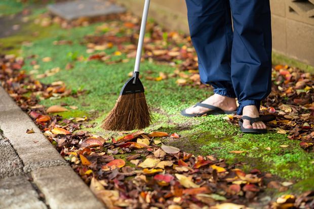 メガネを保管する最良の方法