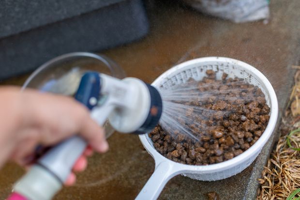 ベランダでビオトープを楽しむときの掃除方法 注意点と手順を解説 くらしのマーケットマガジン