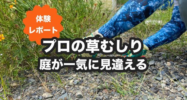 不用品回収！お庭の草むしり！ルームクリーニング！ お庭やマンション周りの草抜きもキレイに！！知識と経験が豊富なのでお