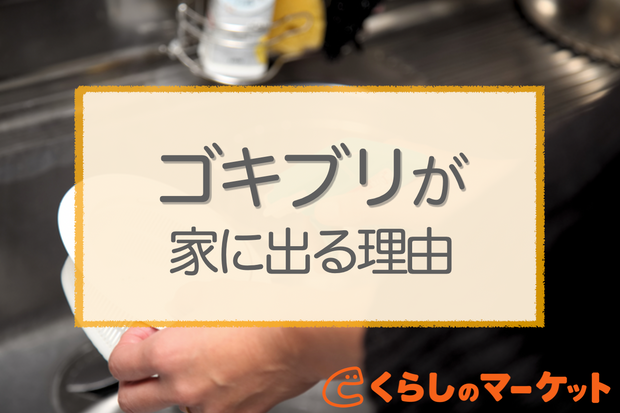 ゴキブリが家の中に出る2つの原因 ゴキブリが出ない家の特徴 くらしのマーケットマガジン