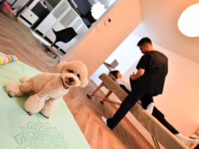 サービスの画像