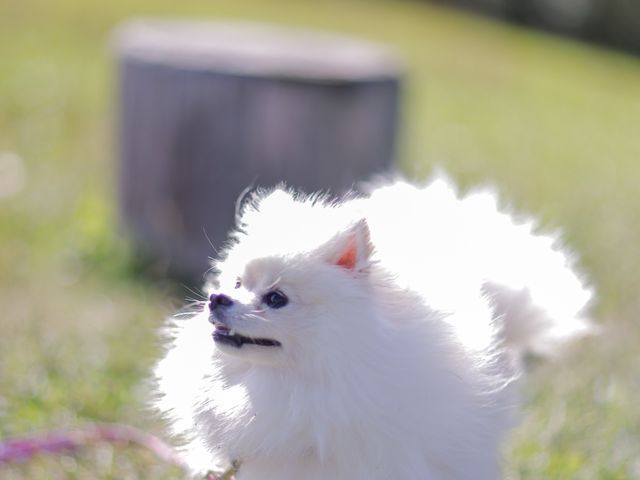 サービスの画像