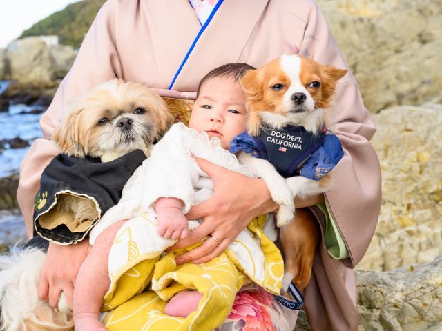 サービスの画像