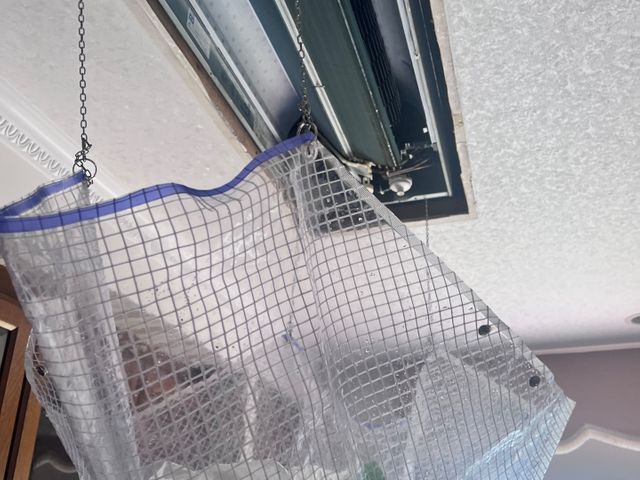サービスの画像