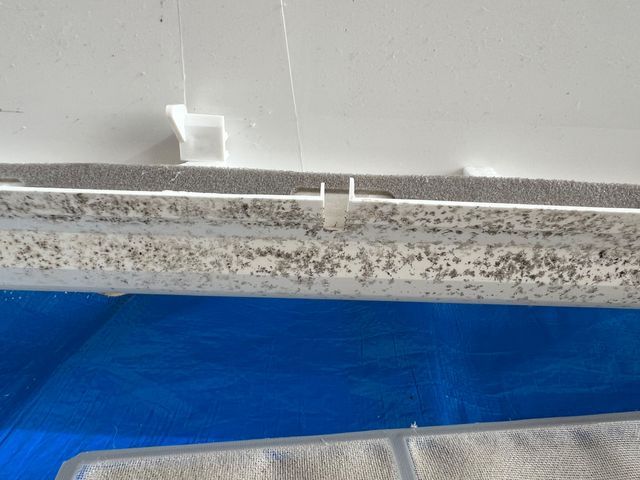 サービスの画像