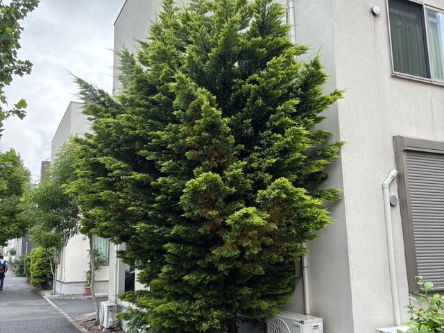サービスの画像