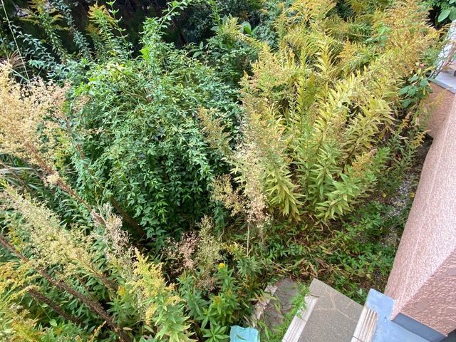 サービスの画像