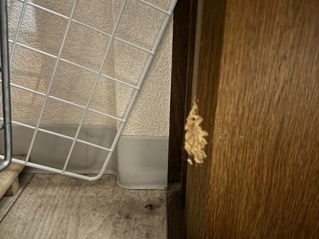 サービスの画像