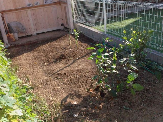 サービスの画像