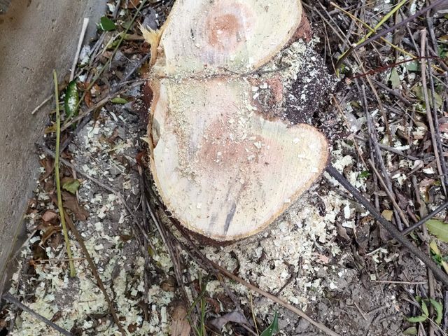 サービスの画像