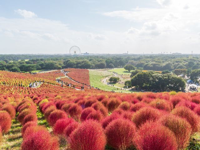 サービスの画像