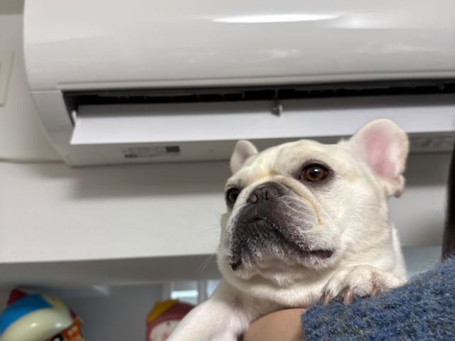 サービスの画像