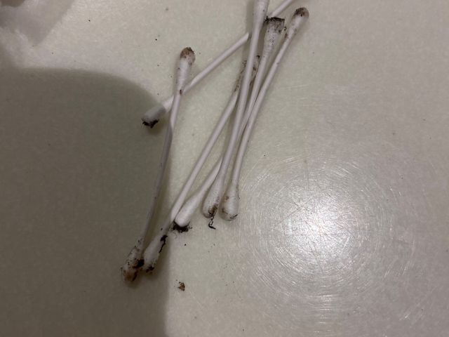 サービスの画像