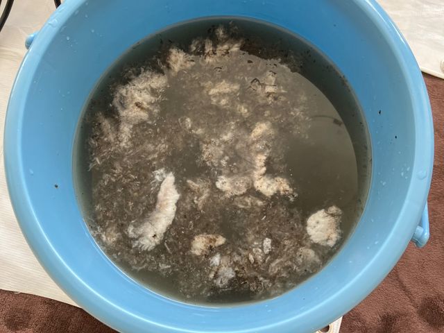 サービスの画像